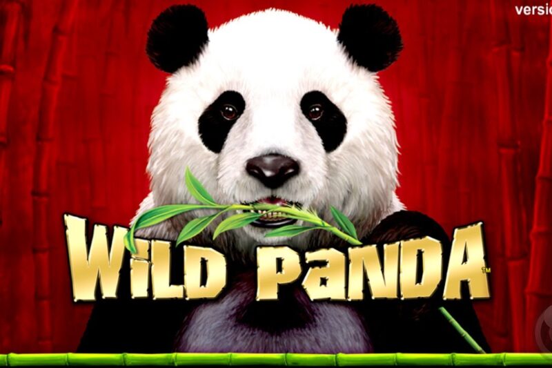 The Origins and Theme of Wild Panda Slots